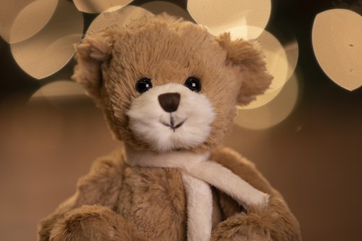 Watch Bukowski Bears - Your Cuddly Friends on Amazon Live