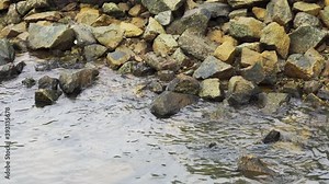 river flows to a shore with rocks pebbles boulders shoreline nature natural environment view