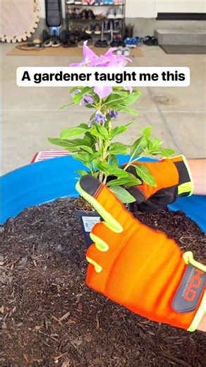 Garden tip 🌱 use store containers to create perfect soil grooves for planting🪻#gardening