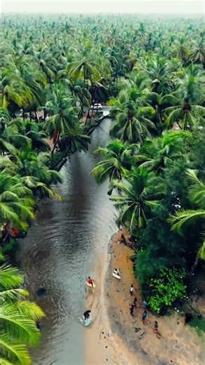 3 Shocking Facts 🤯 | Mobile Toilet Seat Se Zyada Ganda? #shorts