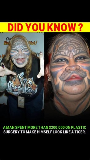 bakchodiagain on Instagram: "The story of Dennis Avner, famously known as "Stalking Cat," is one of the most extreme examples of body modification ever recorded. An American Navy veteran with Huron and Lakota heritage, Avner spent an estimated $200,000 on at least 14 different surgical procedures to transform his physical appearance into that of a female tiger, which he believed was his ancient totem. His transformation included extensive full-face tattooing of tiger stripes, subdermal facial im