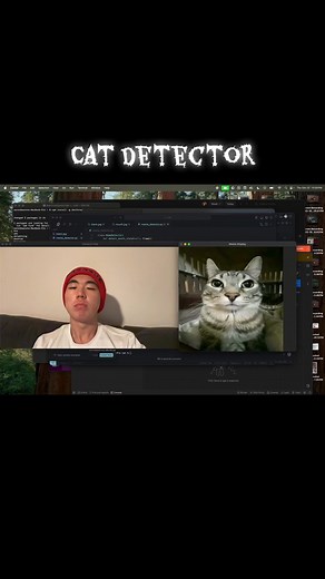 Cat Detector in Computer Science: Learn Python Coding