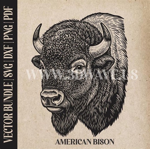 American Bison Head Vector Art: Laser Cut Files for Cricut, Glowforge SVG | Digital Products - Etsy