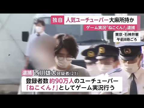 「ねこくん逮捕」大麻を疑われた人の逮捕集