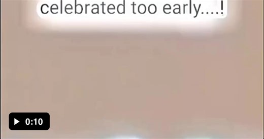 Hilarious 😂 - Video