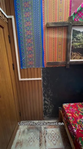 Exploring Unique Shack Experiences and Favorites