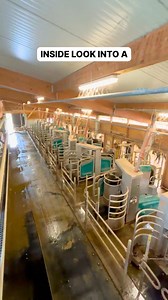 A few of the U.S. GEA teammates, dealers and customers took a trip to Germany to see Robotic Batch Milking farms in action! See first-hand why this smart shift keeps cows flowing with less labor. | GEA Farming - United States