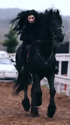13K views · 411 reactions | Look at this black beauty!   #BlackHorse #Horses #HorseRiding Credit to @2atsever for the awesome video! Link in bio  | Haunt | Facebook