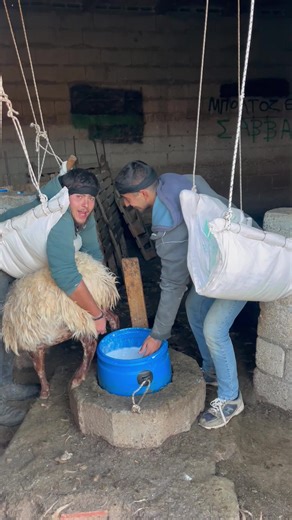 Ξεκινάνε μεγάλες διαμάχες με το νέο έτος⚔️⚔️🤣🤣🤣🤣 #viral #tik_tok #viralvideo #fyp #fy