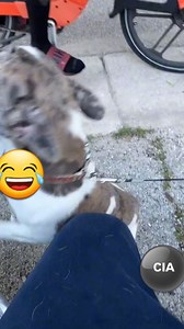 Chester Stone on Instagram