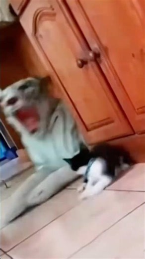 DON’T CHECK THE SOUND 💀💀 (It’s a trap)