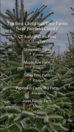 CHRISTMAS TREE FARMS // Finding the perfect Christmas tree is one of the most timeless traditions of