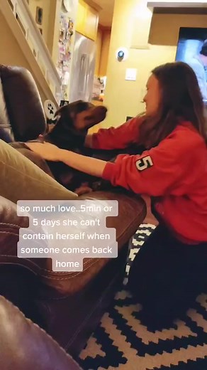 195K views · 10K reactions | #rubytuesday Ruby could never contain her joy and excitement when someone came home♥️♥️ #doberman #dobermann #rubydooby_do #dogsofinstagram | Rubydoobydo | Facebook