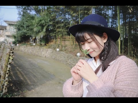 我只在乎你 - 邓丽君 唱 (英文版 英文歌词和中文字幕 ) I only care about you (with lyrics)