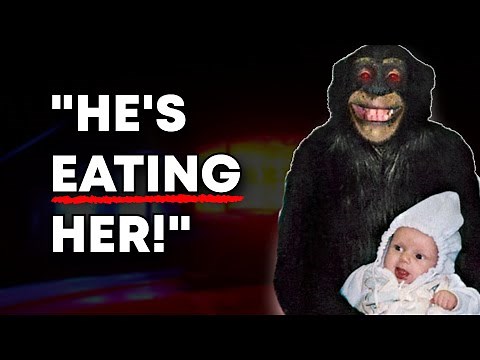 The Most Disturbing 911 Call Ever Recorded - Travis The Chimp Incident