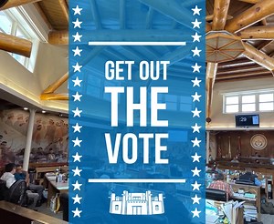 2K views | Get Out the Vote! The Native American vote is critical and decisive. Our votes hold power and represent our voices at the local, state, and federal levels. Please get to the polls today and cast your ballot in the general election and the chapter elections. | 25th Navajo Nation Council | Facebook