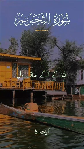 644K views · 69K reactions | Beautiful view of dal lake Srinagar ❤️ | Nature Creativity | Facebook