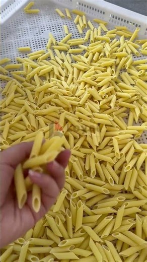 100KG/H Pasta Penne machine#macaronimachine #pastamachine #pennepasta Whatsapp:：+86-13176674591