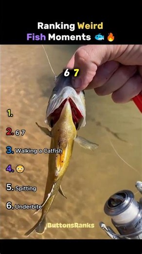 Ranking Weirdest Fish Moments 🐟😲