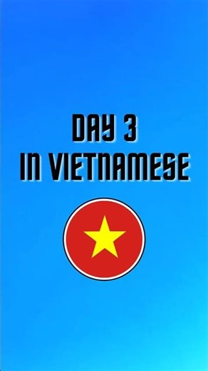 LEARNING VIETNAMESE (DAILY CONVERSATION PHRASES PART3)