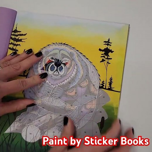 Paint By Sticker Books