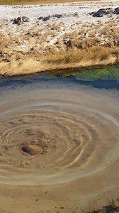 This is no desert mirage ✨ this, is 'The Bubbler' in the Flinders Ranges and Outback 🫧 These natural springs are created from water deep within the Great Artesian Basin which filters to the surface forming mounds and bubbling ponds. You'll find The Bubbler located 4km off the Oodnadatta Track about 10km east of Coward Springs within the Wabma Kadarbu Mound Springs Conservation Park. ID: Video of a vast field in the South Australian outback with a winding river that leads to a natural spring. Th