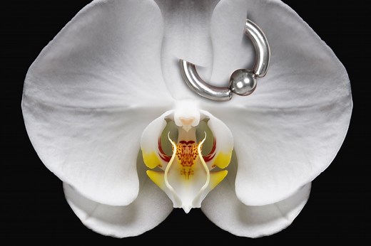 How people are using genital piercings to affirm their gender