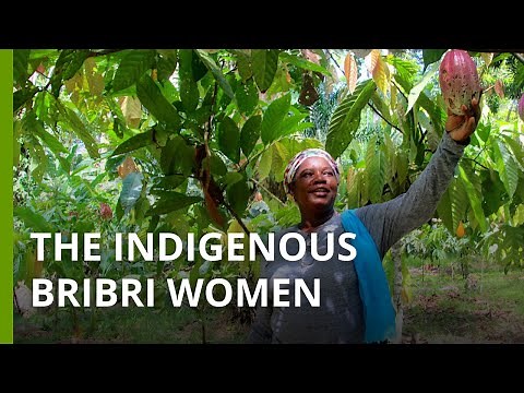 Bribri women's agroforestry maintains forests and Indigenous culture in Costa Rica