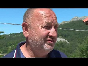 Grkovic na sudu zbog ubistva medvjeda \\ Trebinje (BN TV 2019) HD