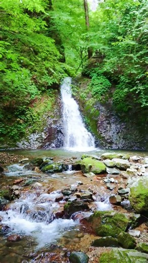 【自然の音】渓谷を流れる滝と水が流れ落ちる音、睡眠、リラックス、 waterfall/Nature Sounds/ASMR #Shorts#nature#癒し#滝の音