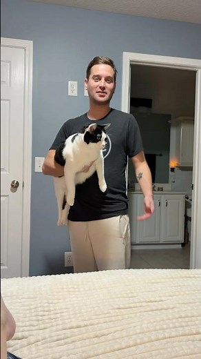 Cat dad was slacking on cow delivery tonight🤣 Sweet dreams wonky tribe! #cats #cowcat