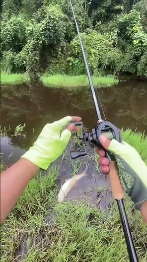 The best fishing rod with best frog fishing bait!!