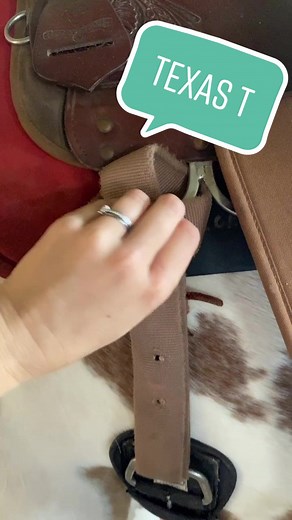 #texasT #mistymeadowsranch #gssjc @gssjc #mistymeadows #missourifoxtrotter #jackson #horsetok #loperlife #equestrian #barn #horses #girlscouts