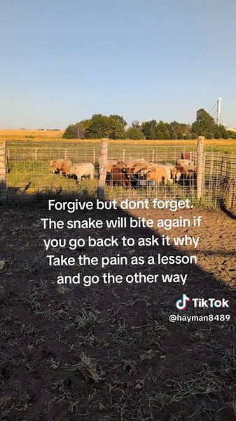 Hay Man (@hayman8489)’s videos with original sound - TALK