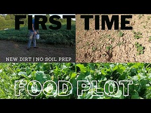 First Time Food Plot | New Property | Never Planted Before