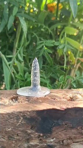 genuis wood tips and tricks #woodworking #woodworker #handmade #diyprojects