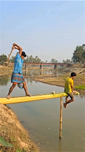 A banana tree was cut down and two people fell into the water