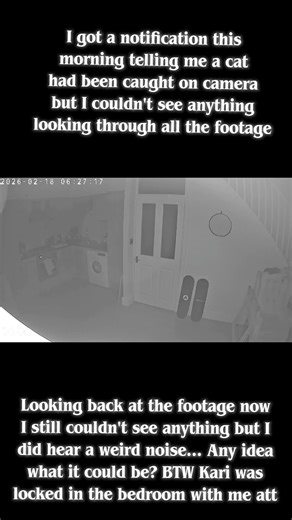Not sure what this sound was but it has creeped me out a bit! Anyone got any idea what it could be then feel free to let me know... Just don't say a mimic of my bloody cat please! 😾 #paranormal #cctv