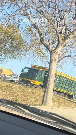 Understanding Debit Reviews and Low Credit Scores