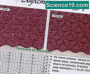 Lengvi vidurinės mokyklos fizikos eksperimentai 💫 Mokslinė Ir Populiarus Multimedijos Versija. 2025