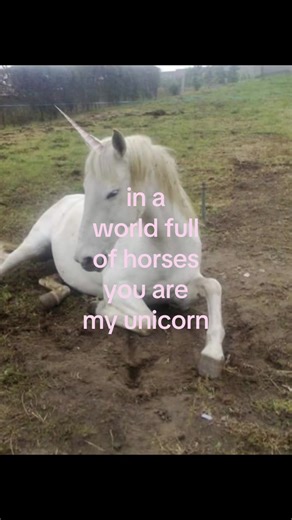 You're My Unicorn in a World of Horses