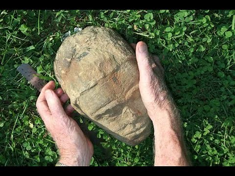 Complete Exceptionally Preserved Creatures of Soft Tissue "Mudfossil" Discovery Documentary Pt1