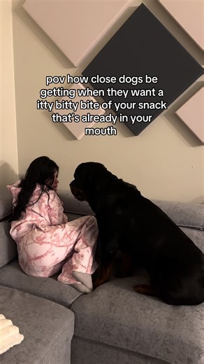 no personal space when food involved | dogs