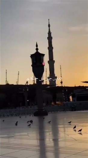 Allah hu akbar Bismillah..🤲🤲New Hindi blogger video comedy funny video blog