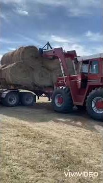 4186 Ihc unloading bales,
