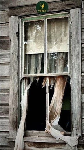 Wooden Windows vs uPVC – The Truth Nobody Tells You #upvcwindows #aluminiumwindows #home