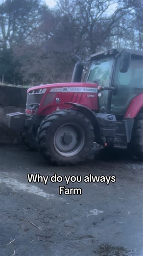 stinkystepho.on.a.merida (@stinkystepho.on.a.merida)’s videos with Originalton - unbekannt0407233