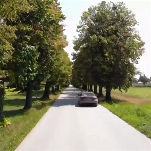 Auto Control on Reels | Facebook