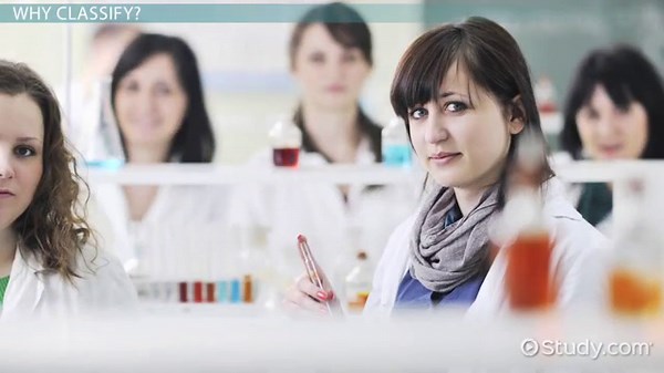 Classification in Science | Definition & Organization