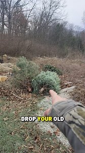 30 reactions | Christmas Tree Reycyling?  #fishing #crappie #christmas #tree #recycle #fblifestyle #outdoors #conservation #trendingreels | Bassquatch90 | Facebook